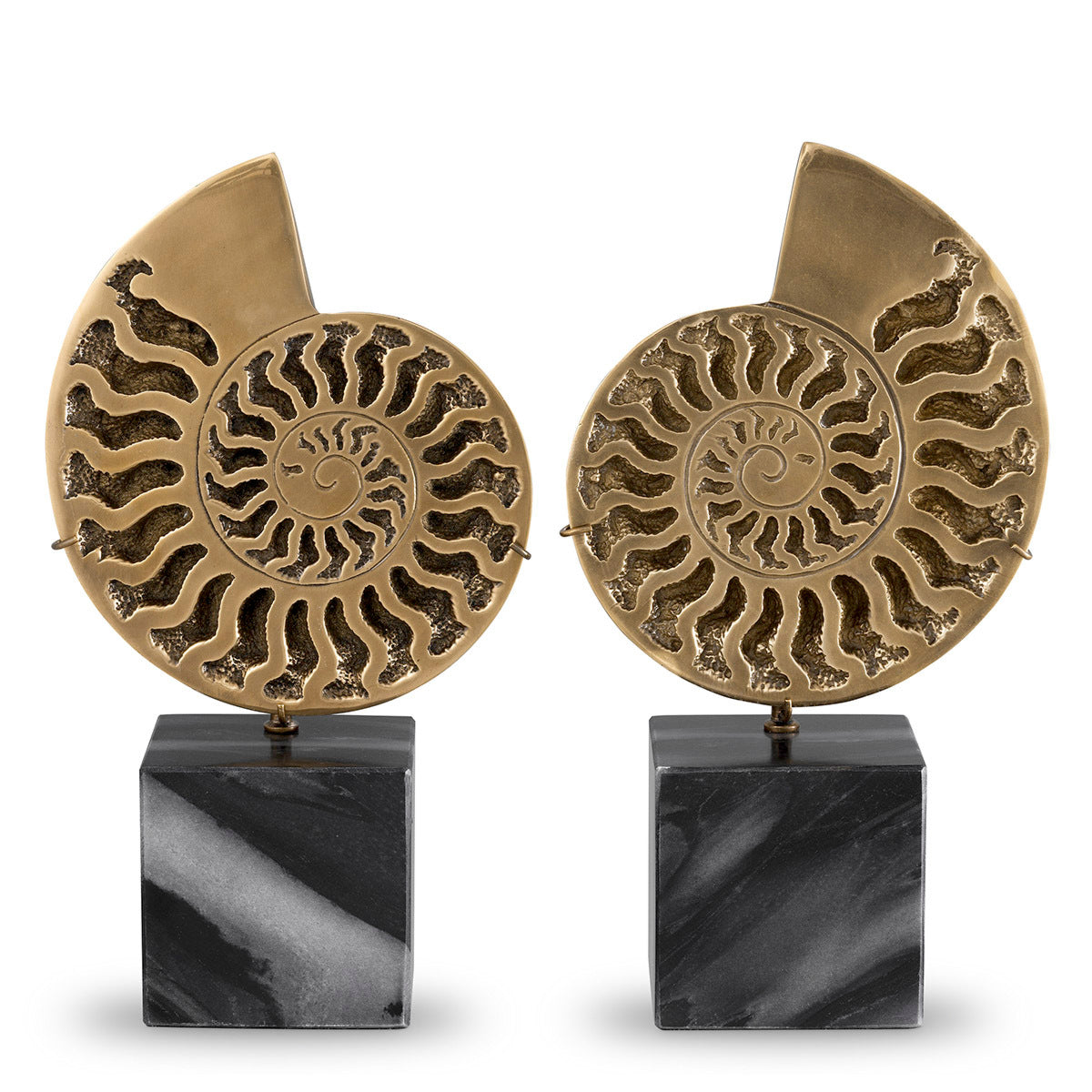 Object Ammonite set of 2 - FABULOUS HOME