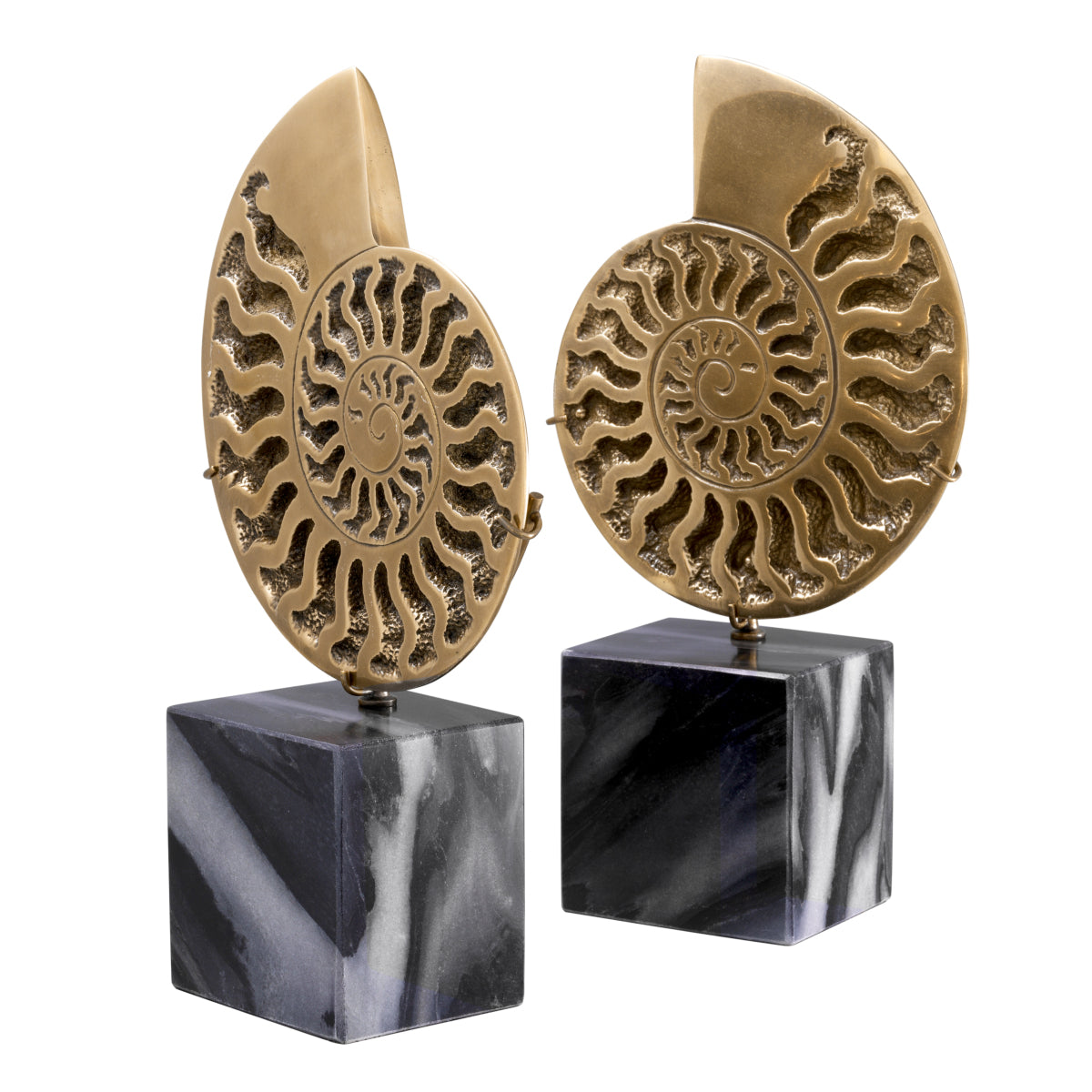 Object Ammonite set of 2 - FABULOUS HOME