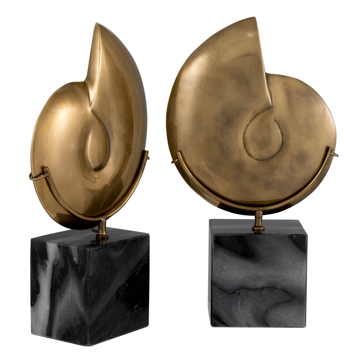 Object Ammonite set of 2 - FABULOUS HOME