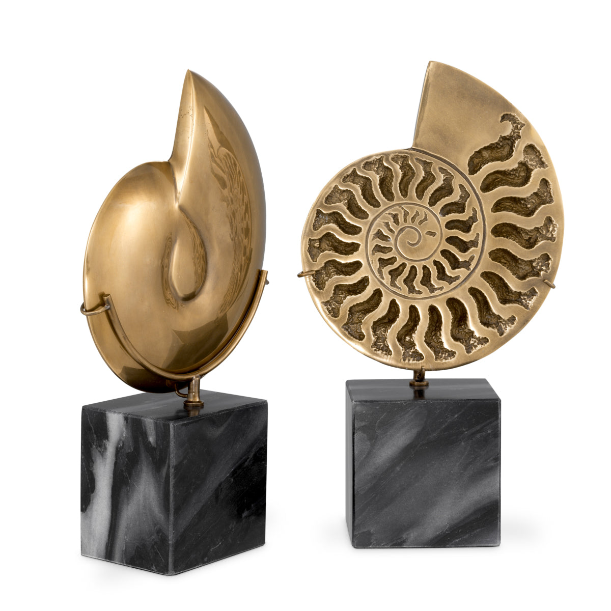 Object Ammonite set of 2 - FABULOUS HOME