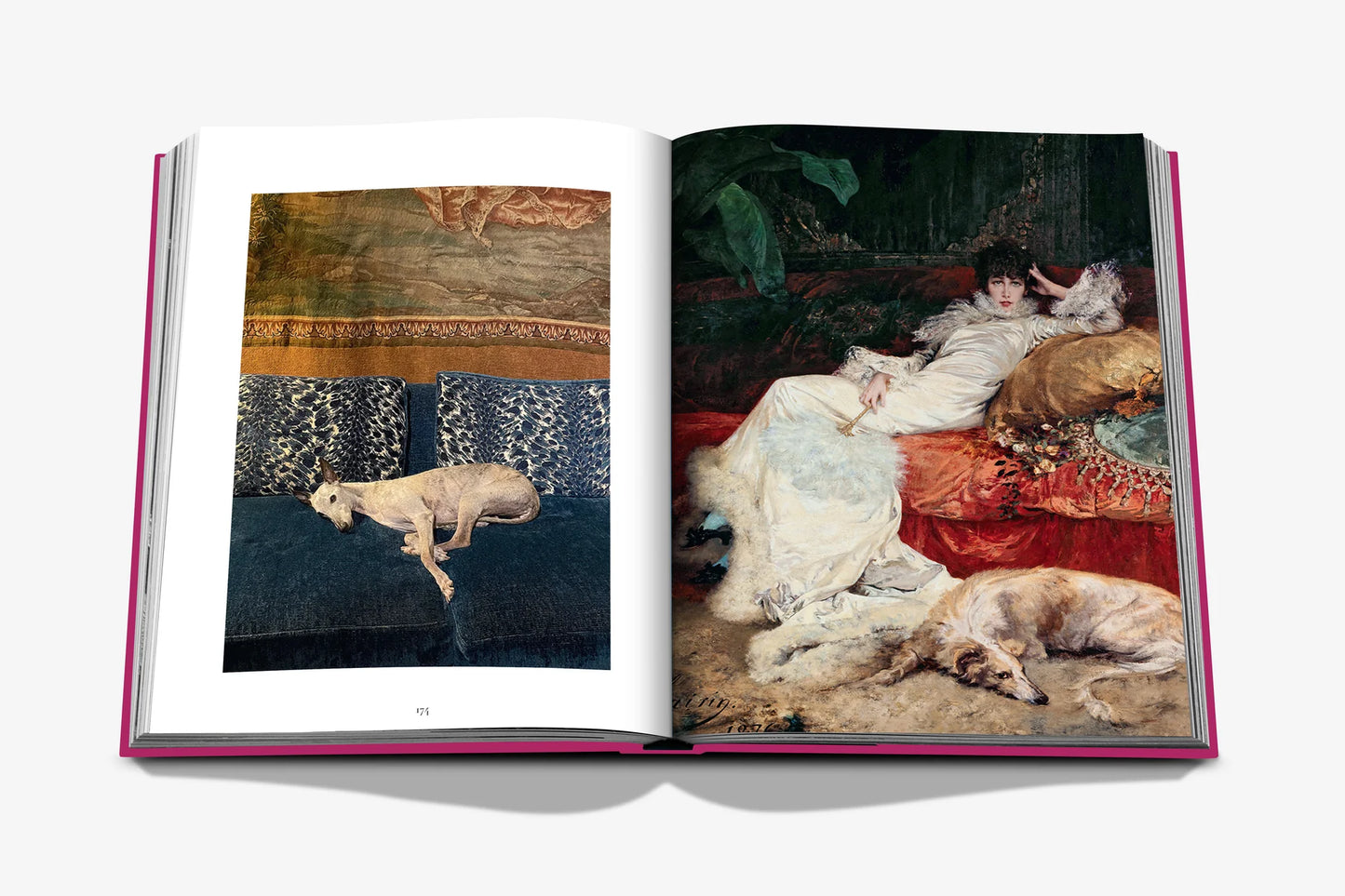 Chic Dogs - FABULOUS HOME