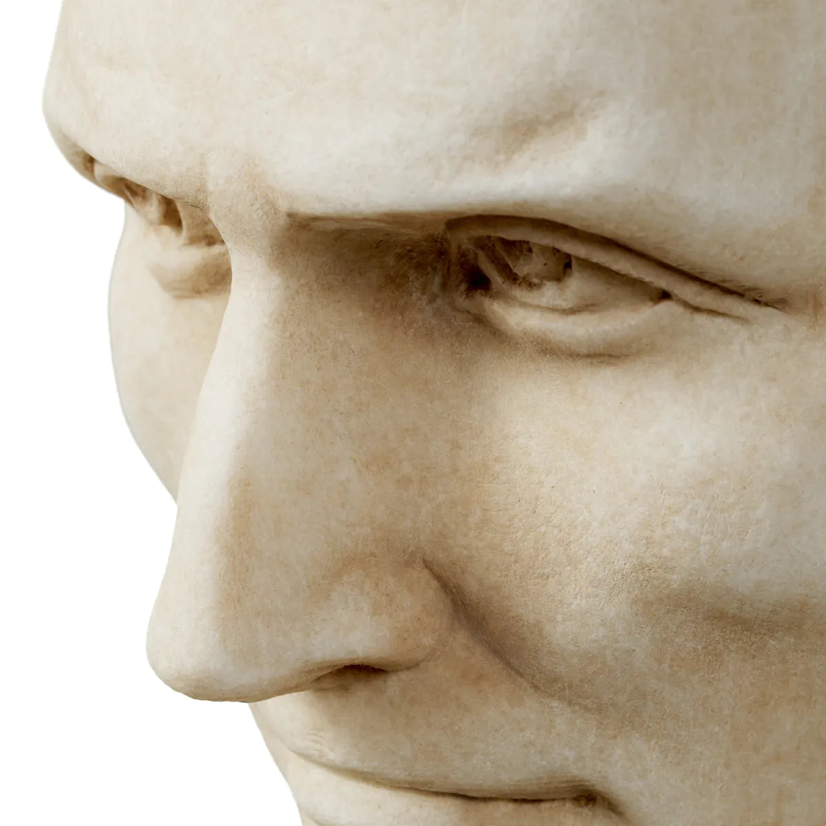 Solid Marble Bust of Julius Caesar - FABULOUS HOME