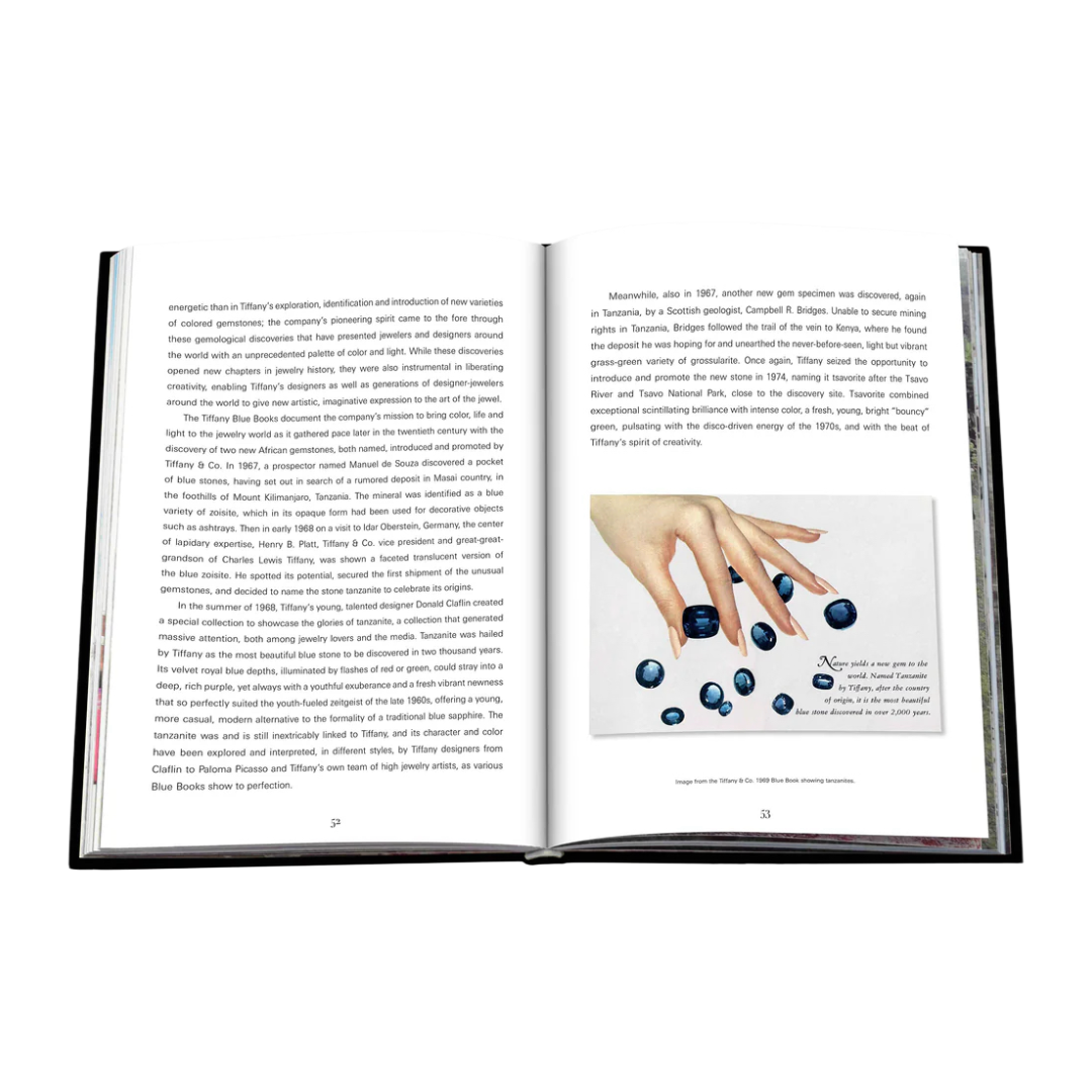 Tiffany & Co. Vision and Virtuosity (Icon Edition) - FABULOUS HOME