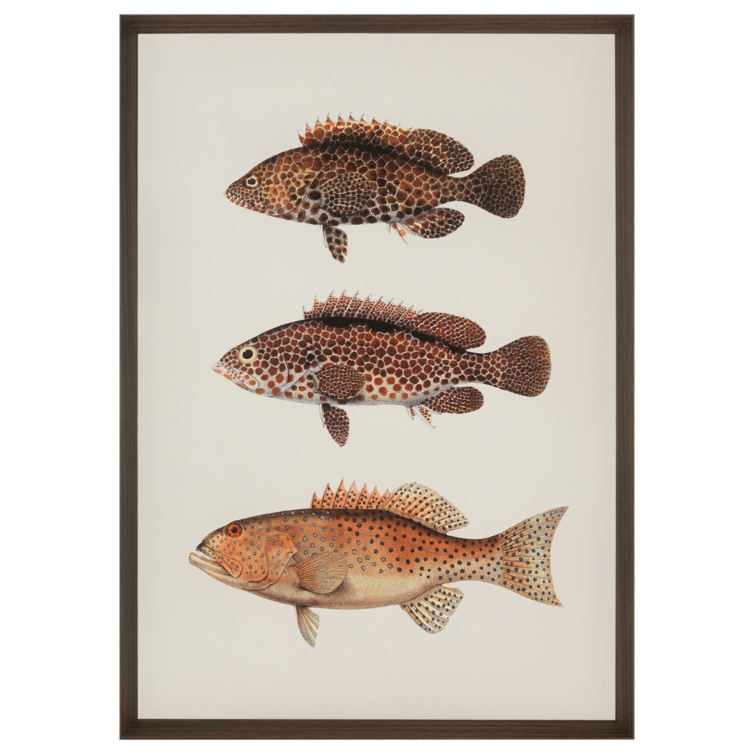 The Fishes II - FABULOUS HOME