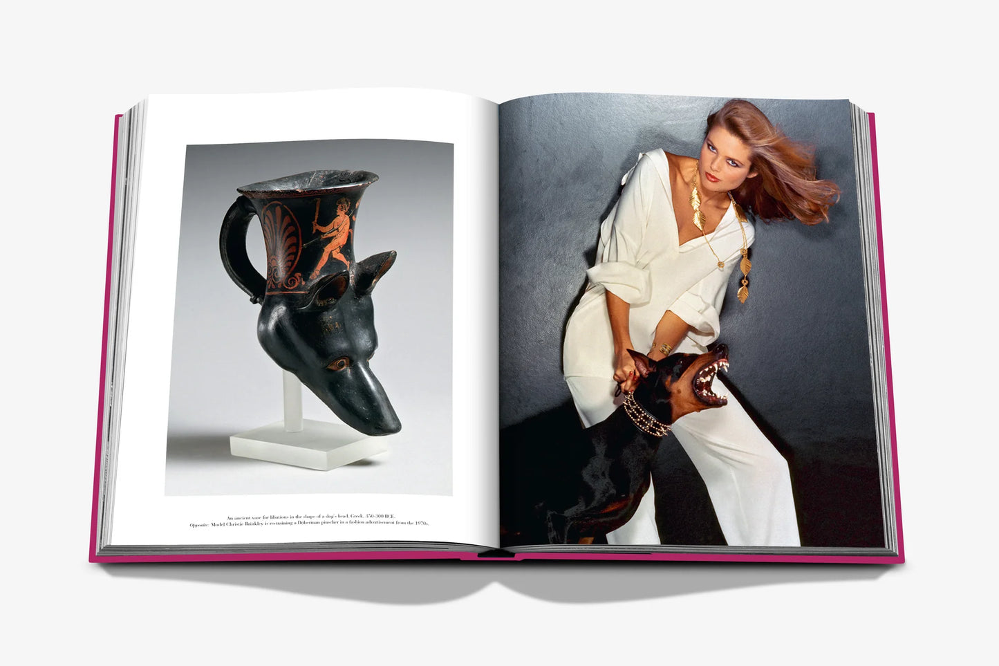 Chic Dogs - FABULOUS HOME