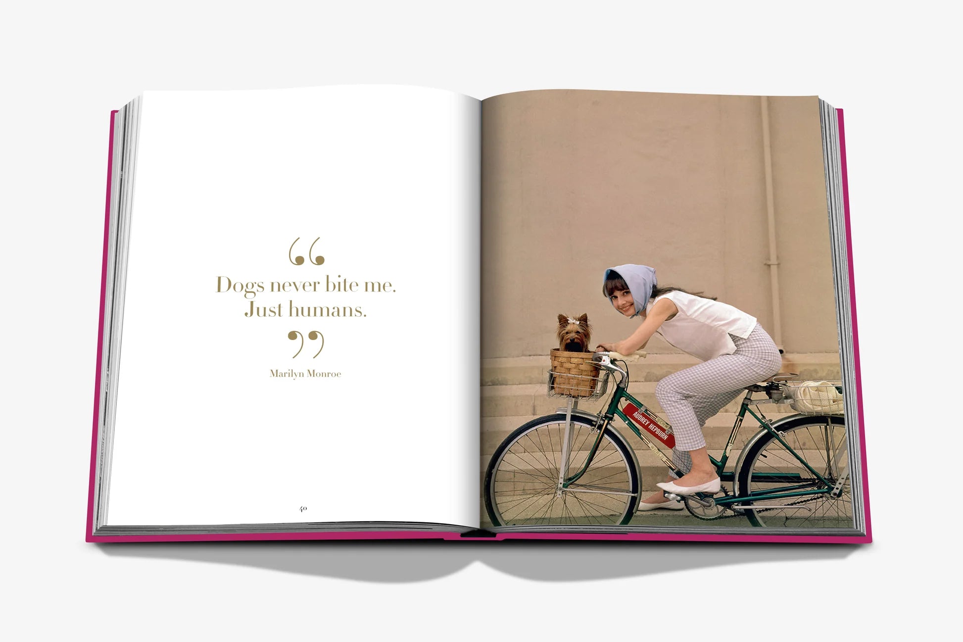 Chic Dogs - FABULOUS HOME