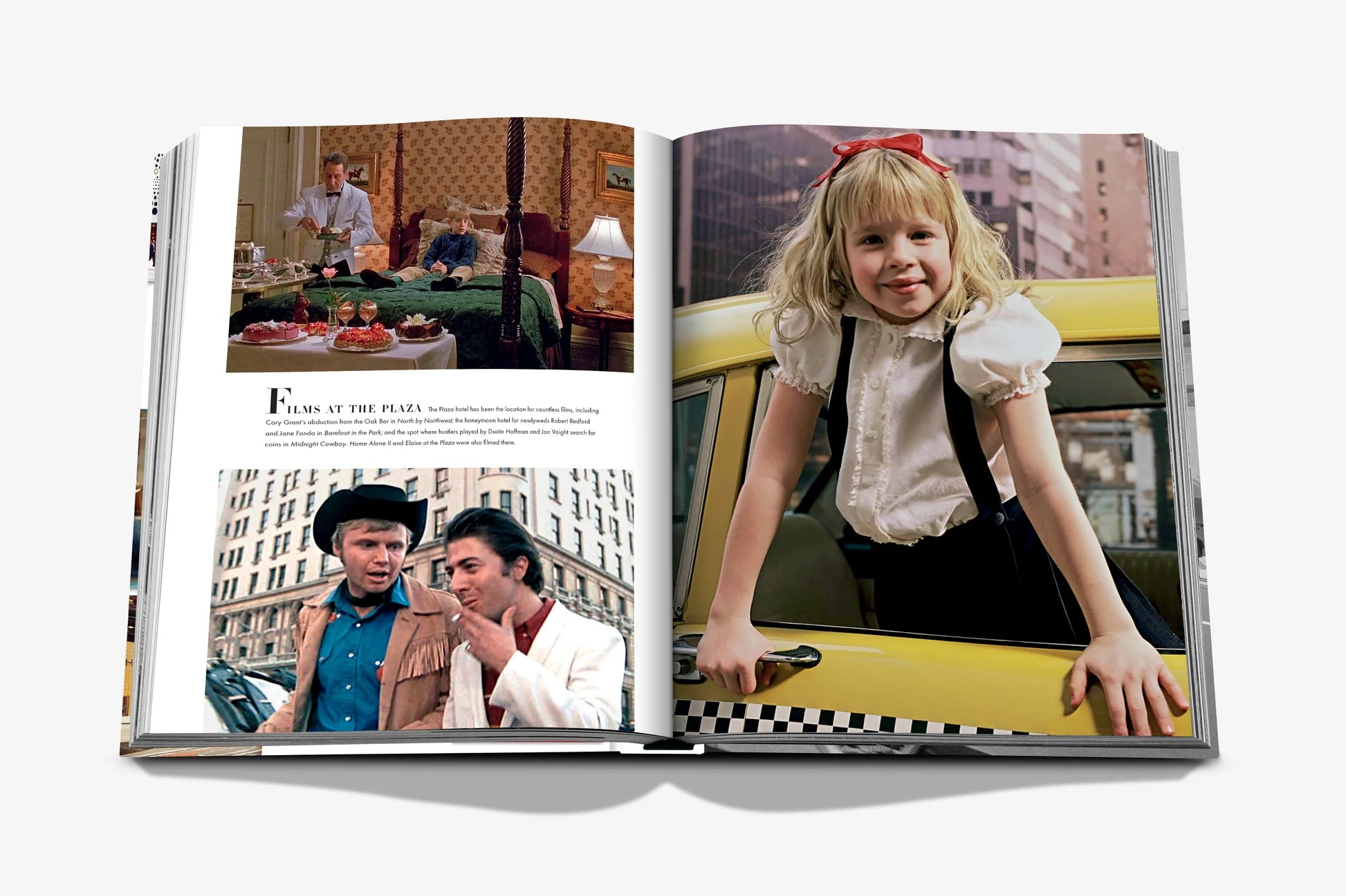 Fifth Avenue: 200 Years of Stories and Legends - FABULOUS HOME