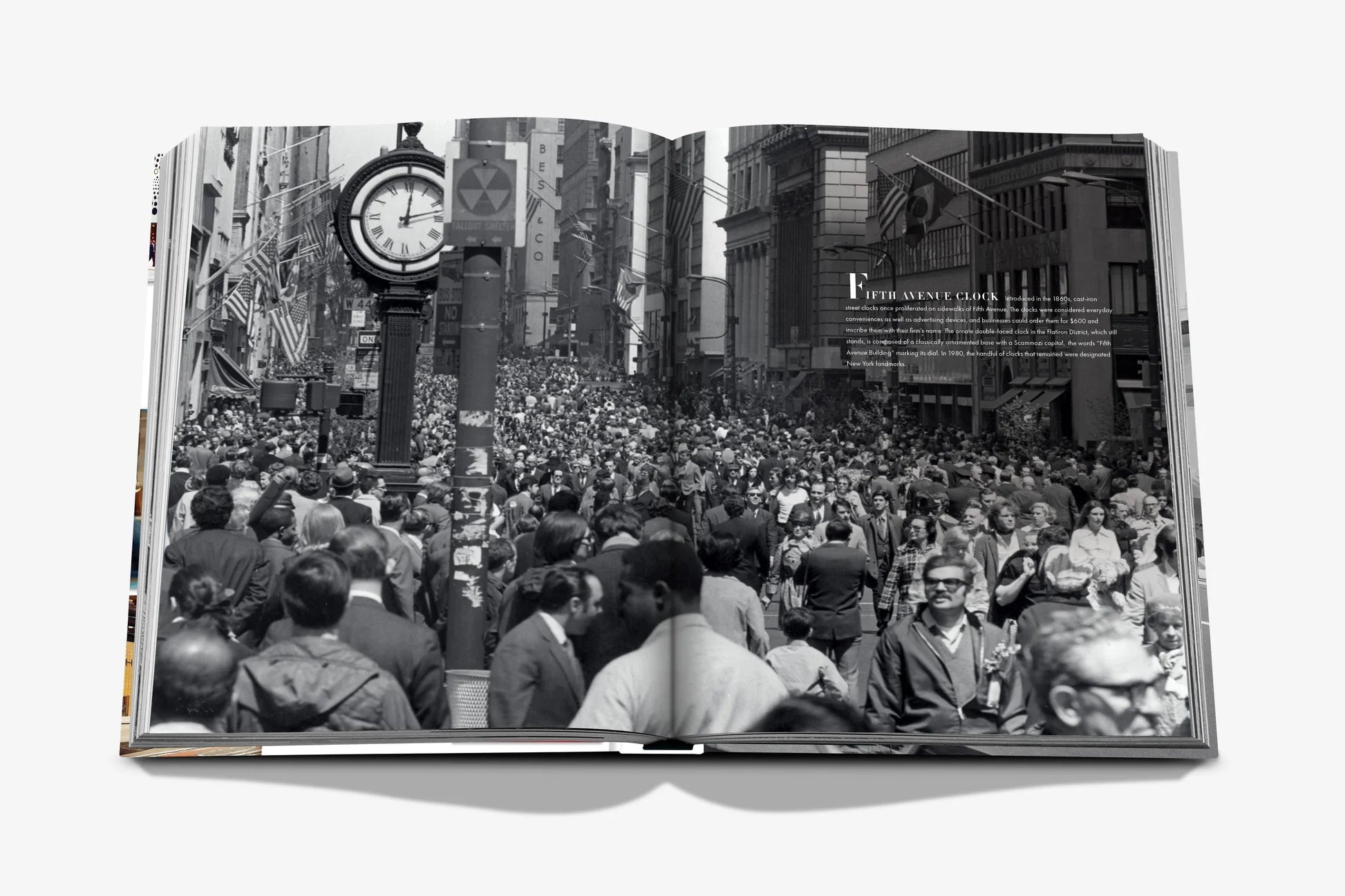 Fifth Avenue: 200 Years of Stories and Legends - FABULOUS HOME