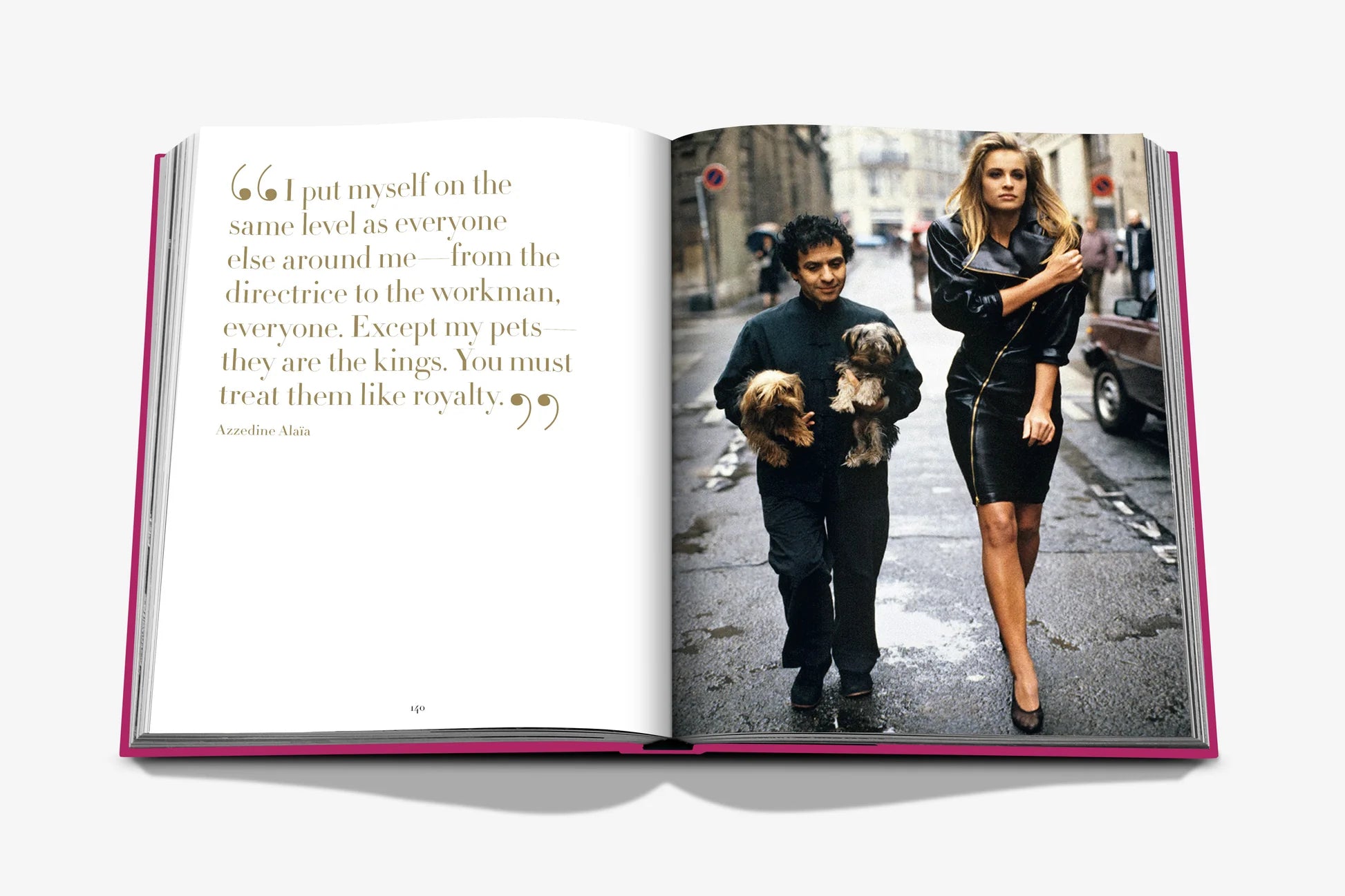 Chic Dogs - FABULOUS HOME