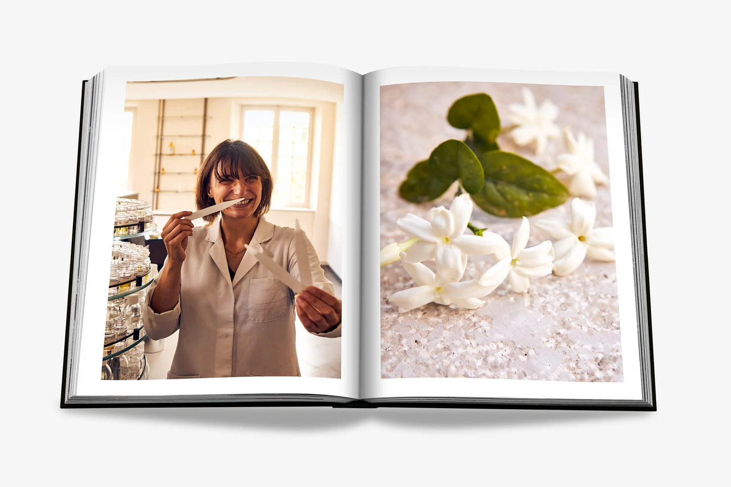 Louis Vuitton Manufactures - FABULOUS HOME