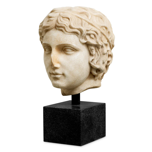 Bust of a youth