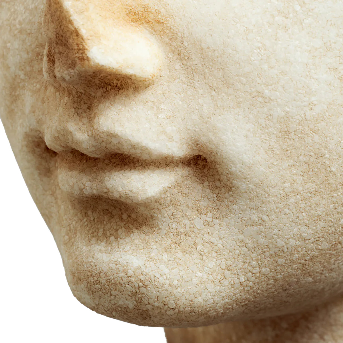 Bust of a youth