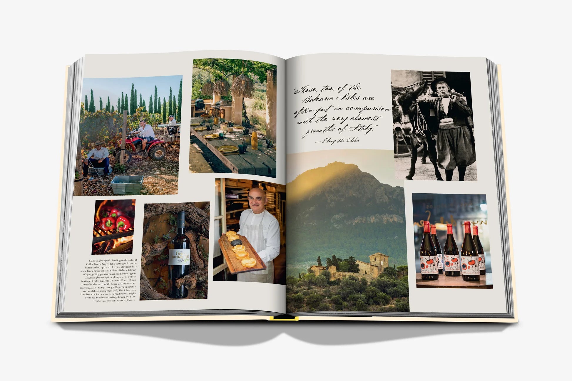 Wine & Travel Mediterranean Islands - FABULOUS HOME