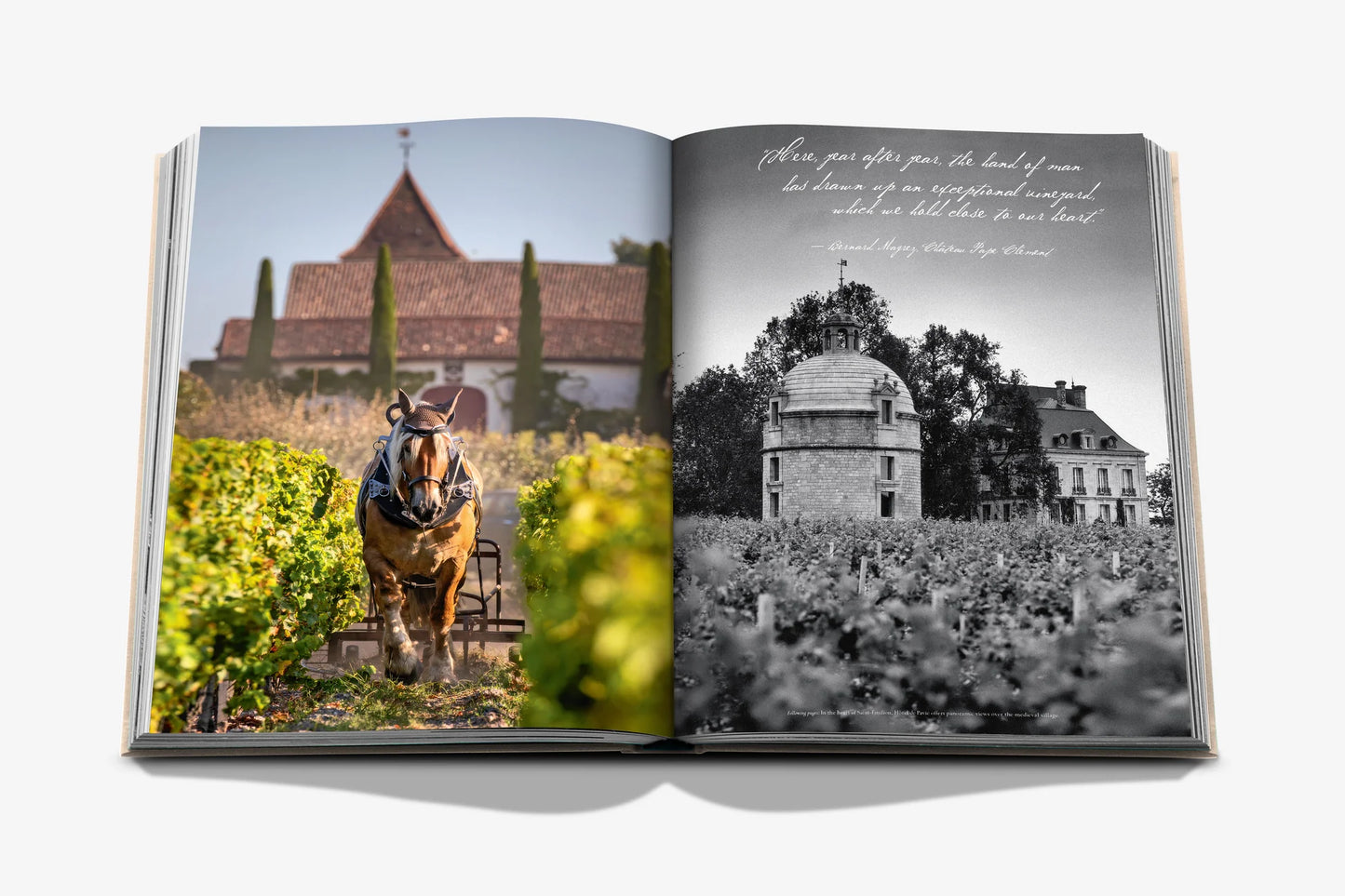 Wine & Travel France - FABULOUS HOME