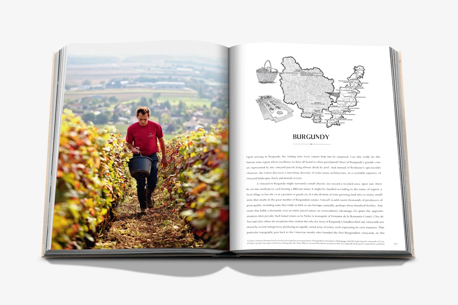 Wine & Travel France - FABULOUS HOME