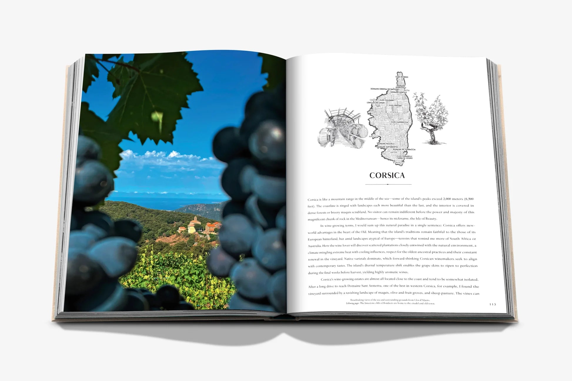 Wine & Travel France - FABULOUS HOME