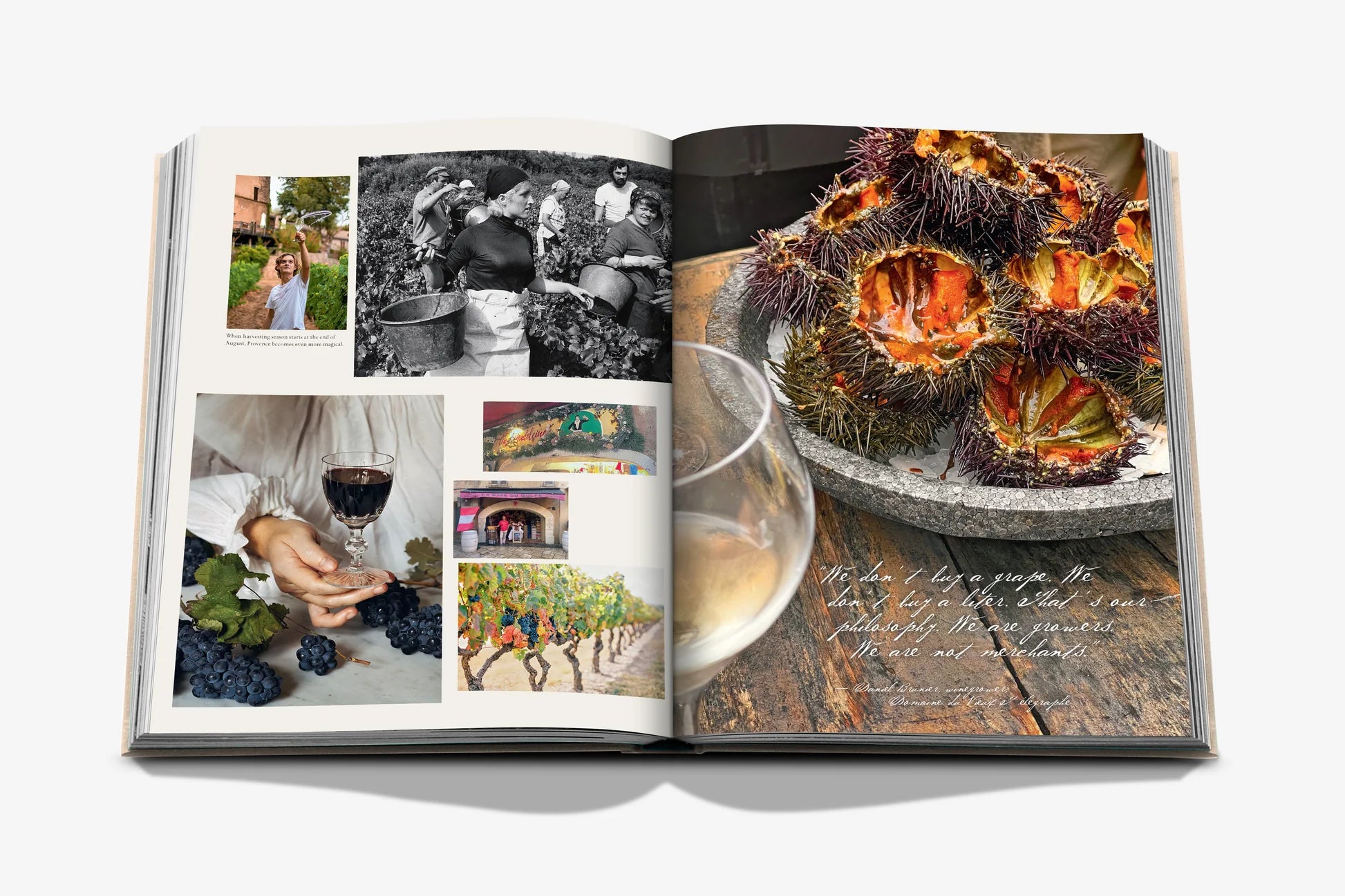Wine & Travel France - FABULOUS HOME
